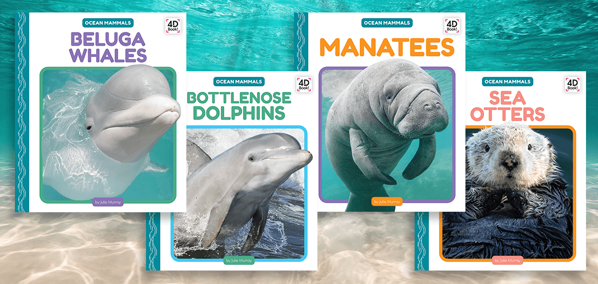 Discovering Ocean Mammals