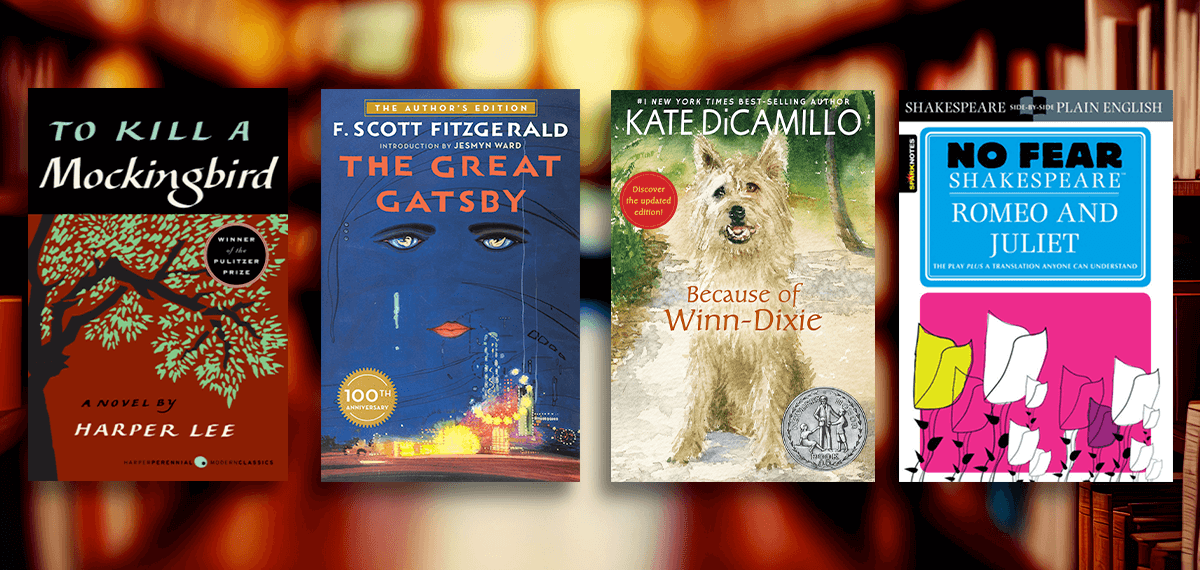 Stocking up on High-Demand Classroom Novels